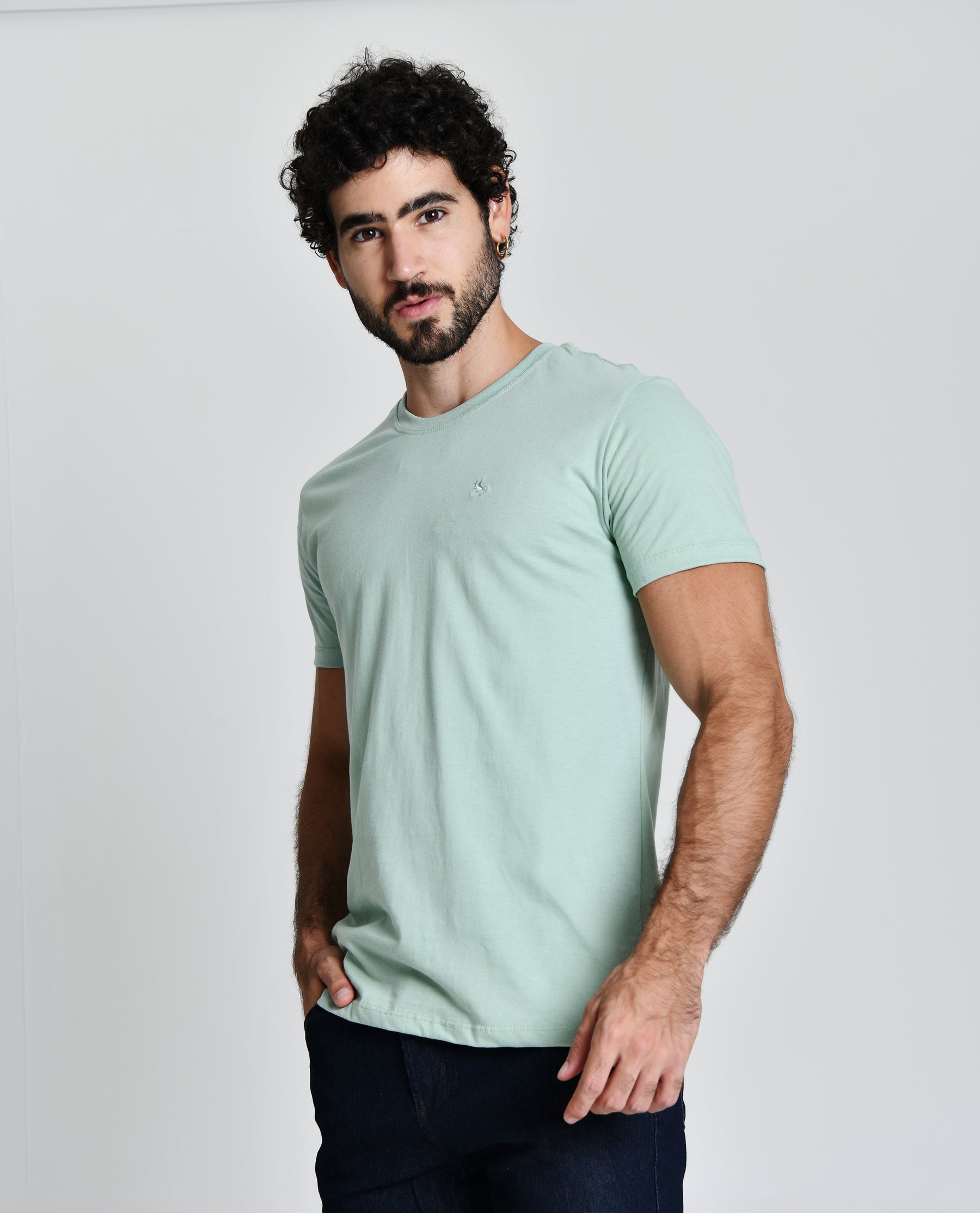 Camisa Masculina 100% Algodão